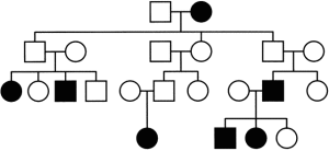 Complex disease pedigree1