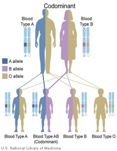 codominant